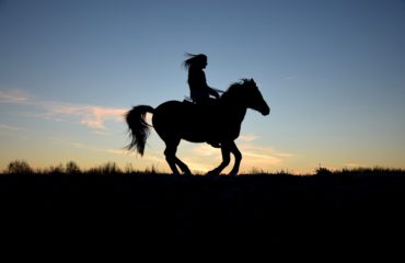 CAVALLO