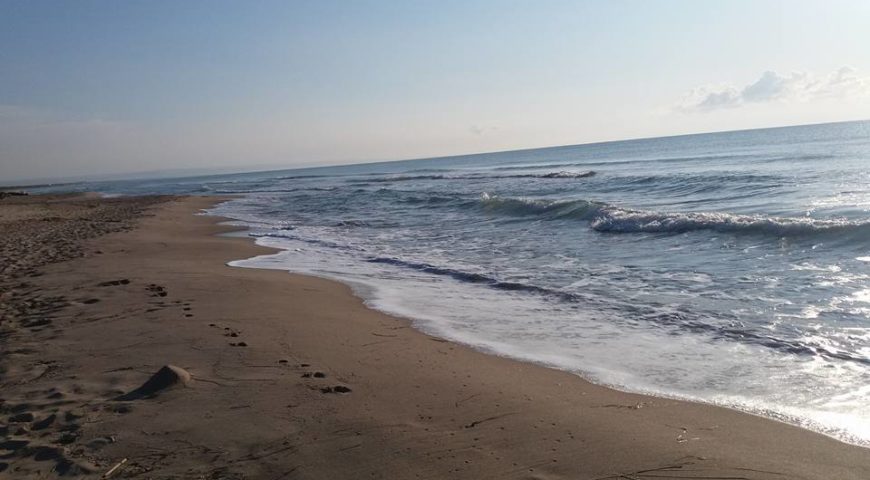 mare mare mare mare